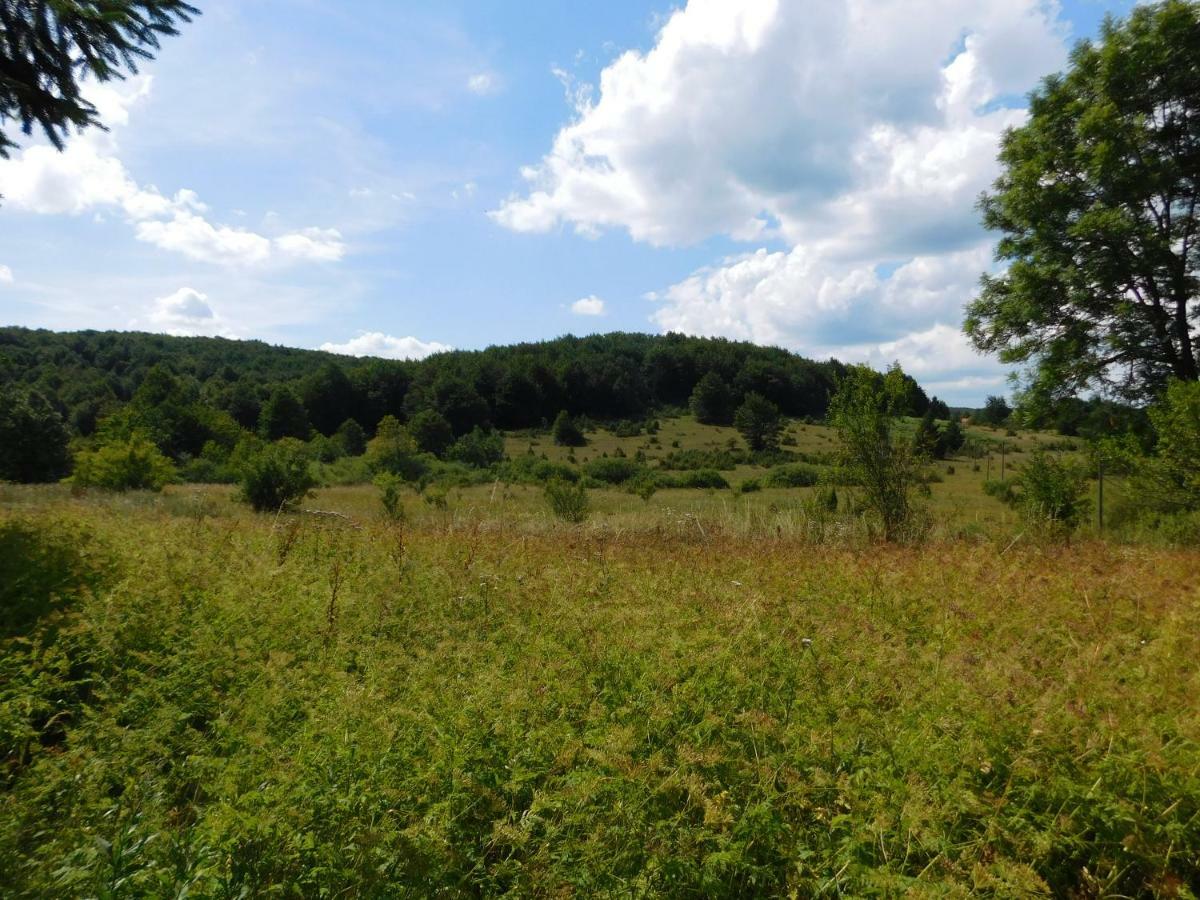 Vacation House Home, Plitvice Lakes National Park Плитвицька Єзера Екстер'єр фото