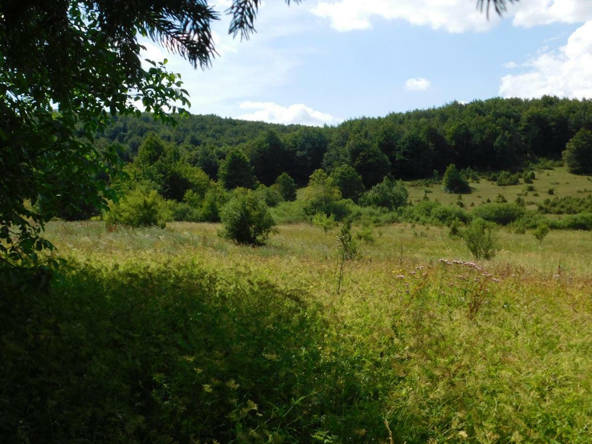 Vacation House Home, Plitvice Lakes National Park Плитвицька Єзера Екстер'єр фото