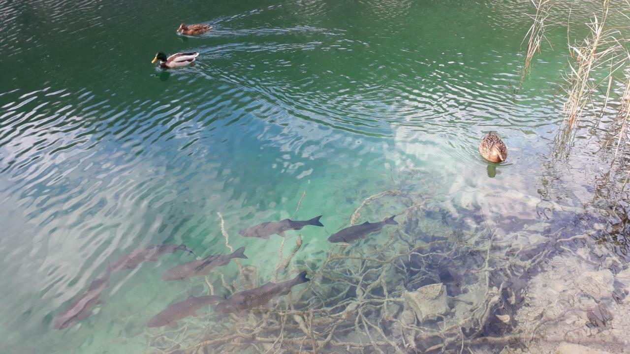 Vacation House Home, Plitvice Lakes National Park Плитвицька Єзера Екстер'єр фото